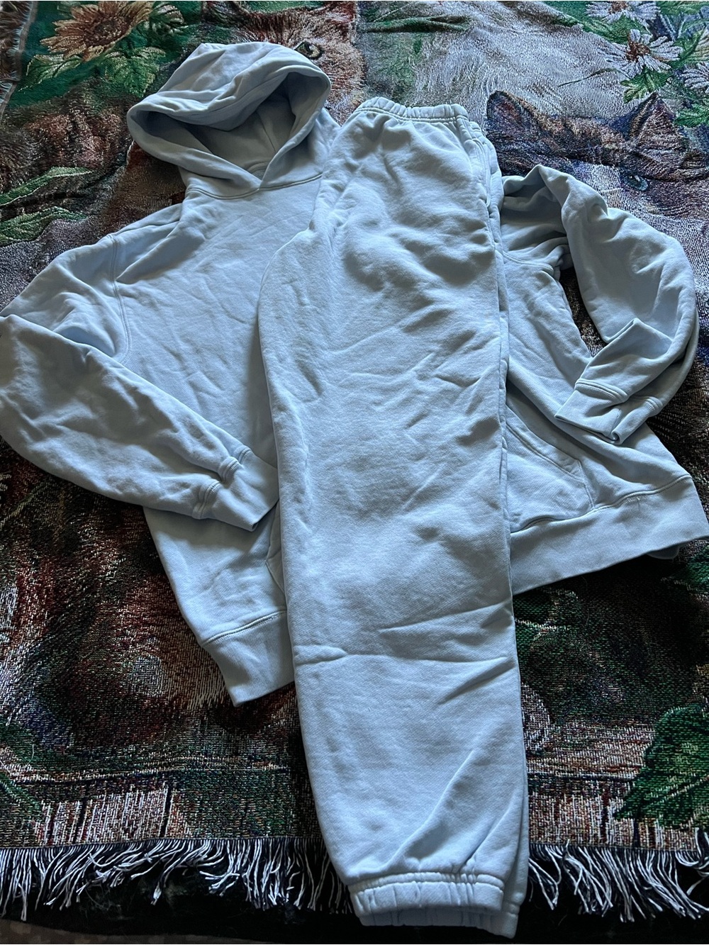 SKIMS Light Blue Hoodie and Jogger Set